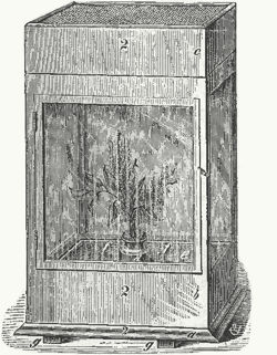 Victorian cage for rearing butterflies. Public domain image.