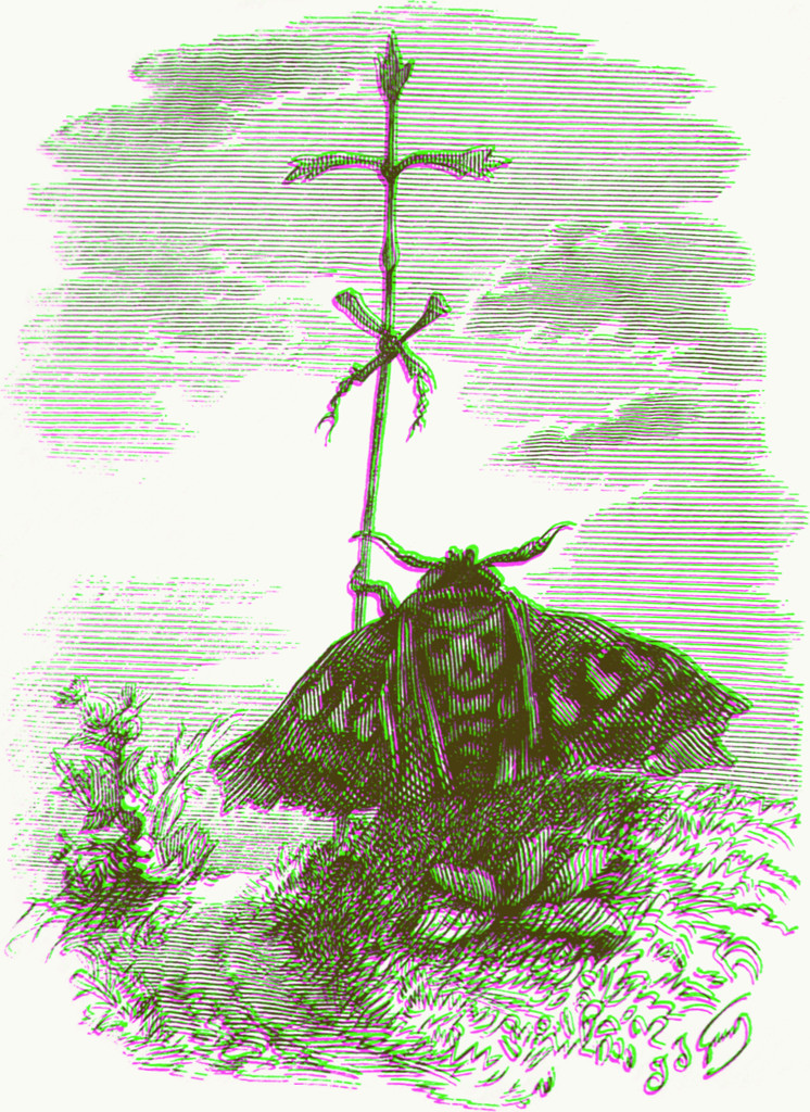 Death's head moth illustration by J.J. Grandville, c. 1840 (colorized)